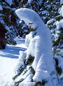 "Snow Monk" by Ken Casaday