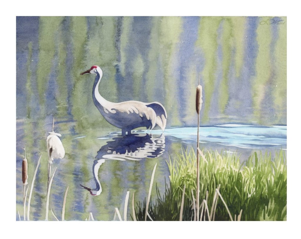 "Sandhill Crane Wading" by Lucinda Wood, watercolor