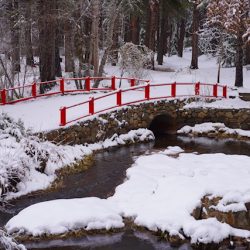 "Red bridge in winter" by Fred Pierson, photograph